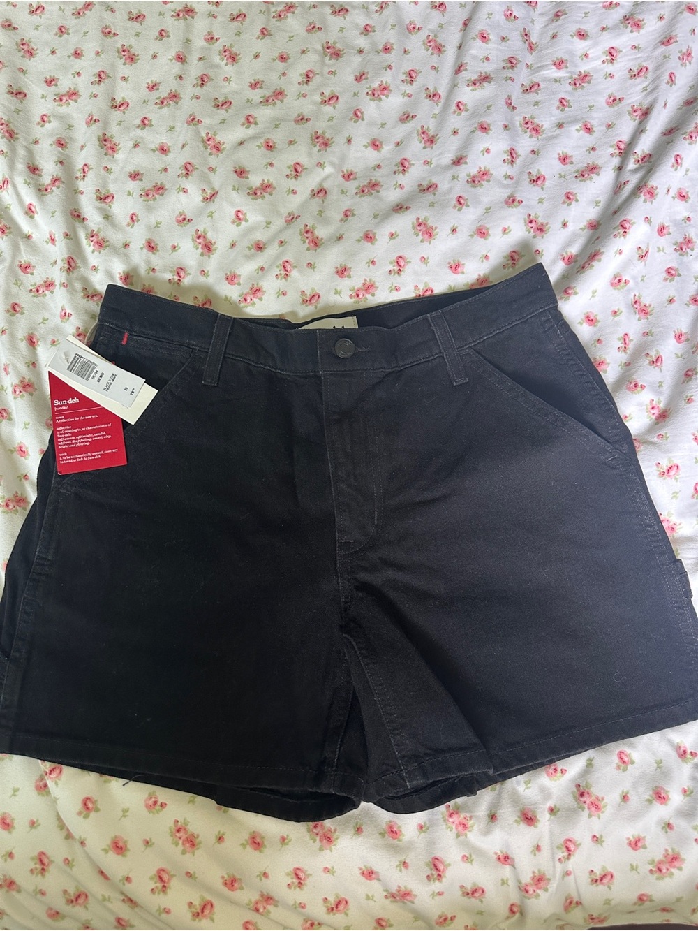 Aritzia Sunday Best Cargo Shorts